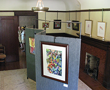 Art Gallery Display